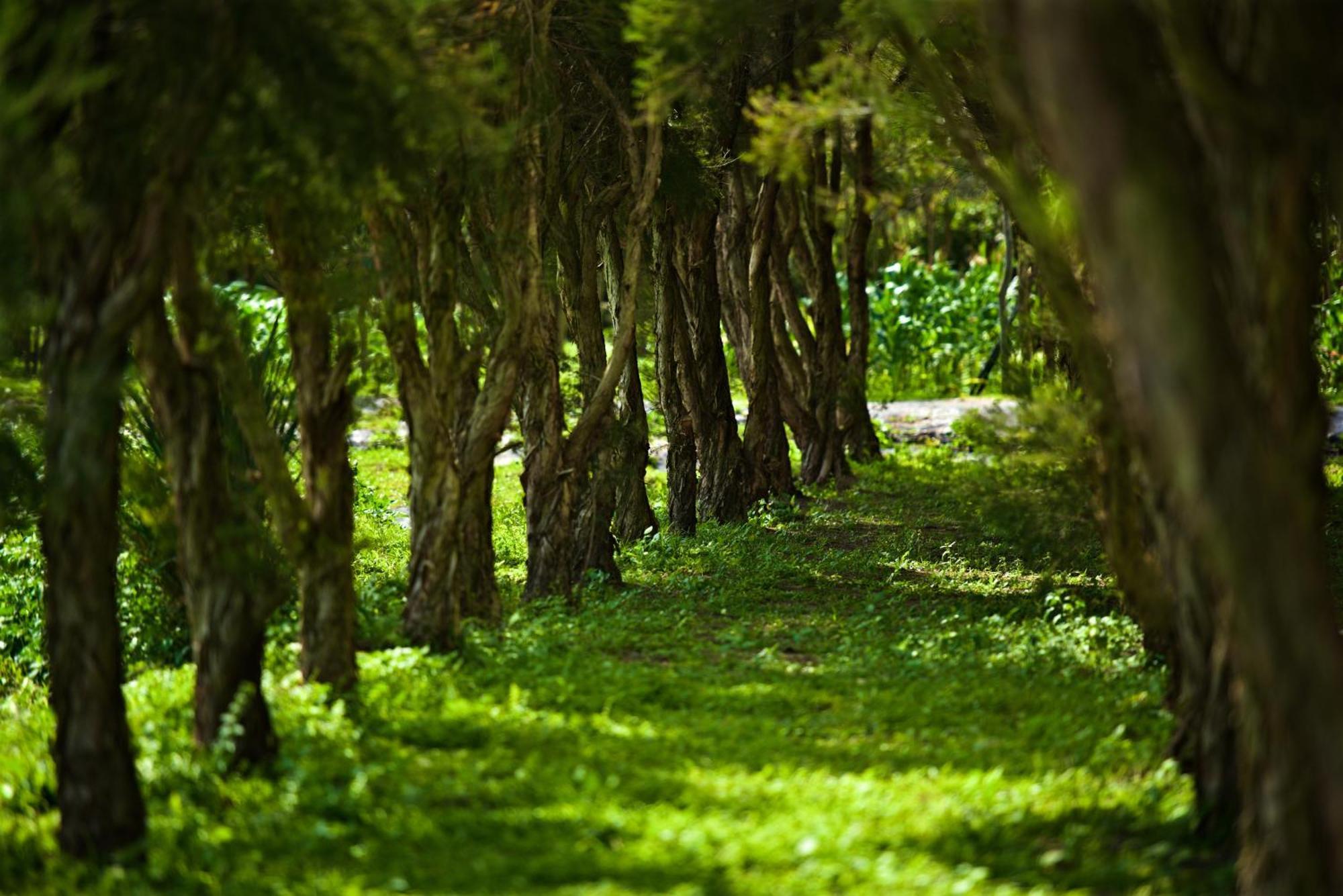 ג'יאן Gaeavilla Resort מראה חיצוני תמונה